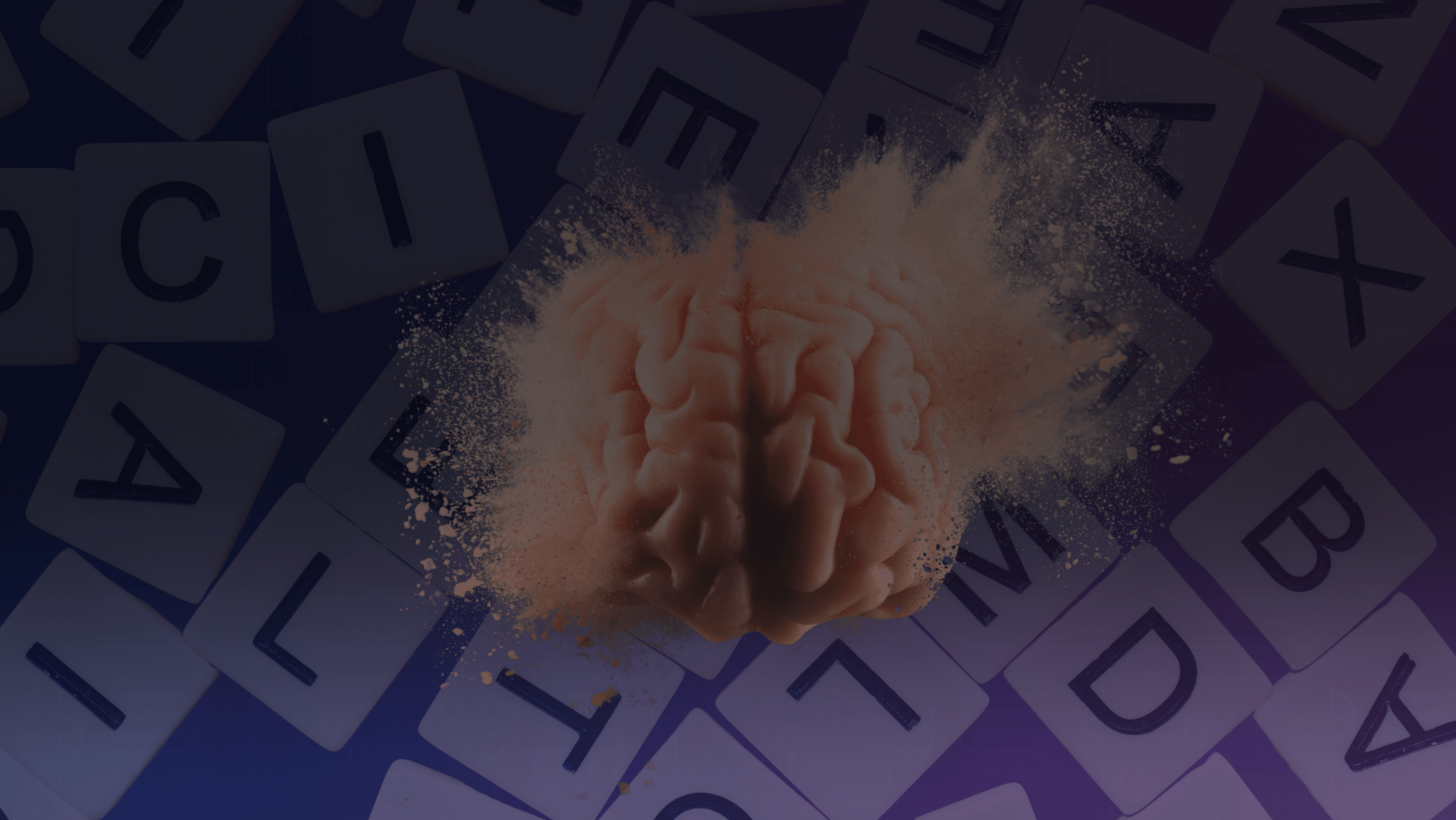 seu cerebro ja sabe 3